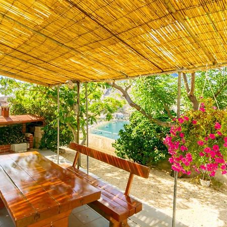 Zlatna Vala Relaxation In A Very Quiet Location Метайна Екстериор снимка